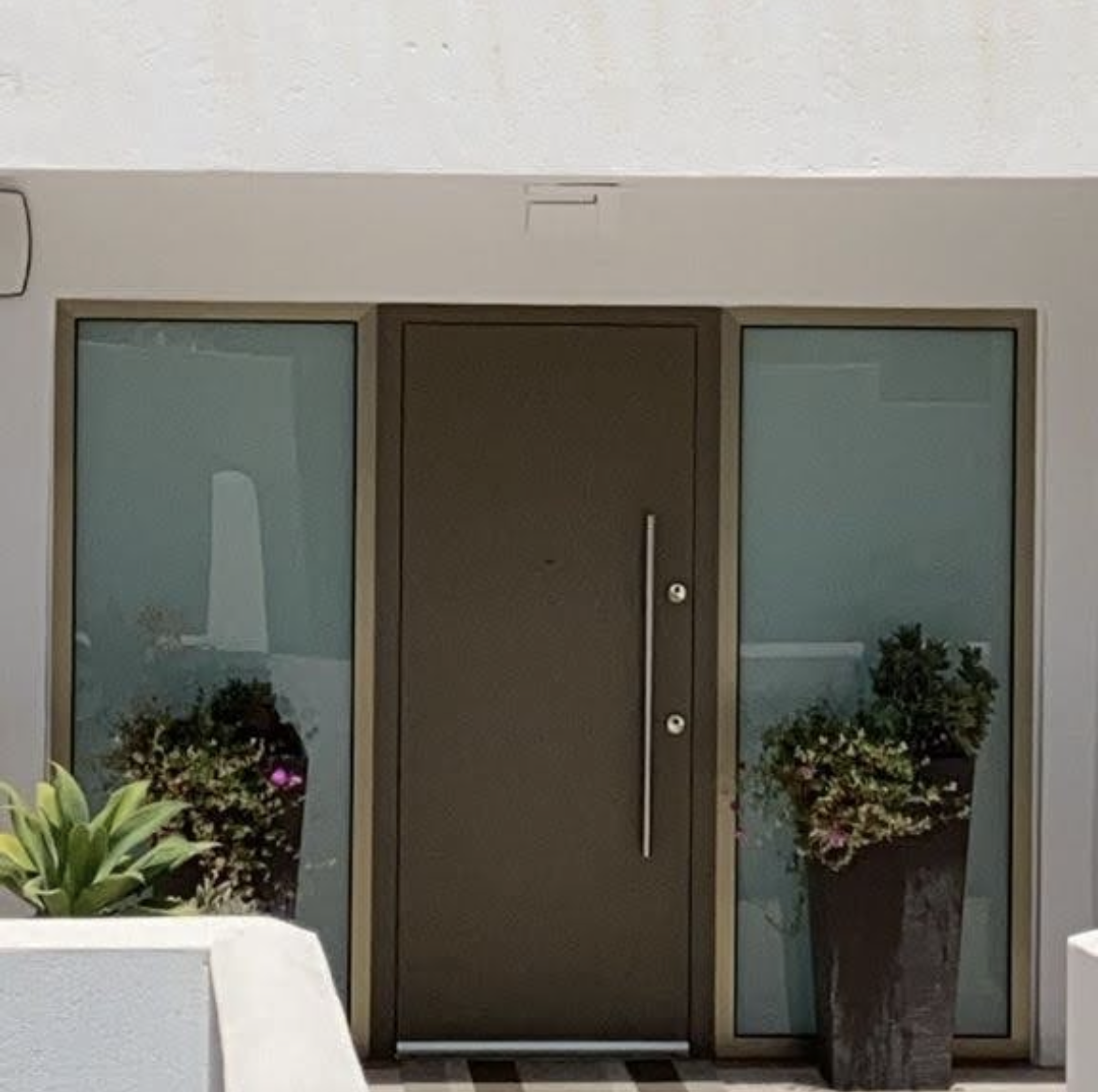 La puerta de entrada de una casa con plantas en macetas delante de ella.