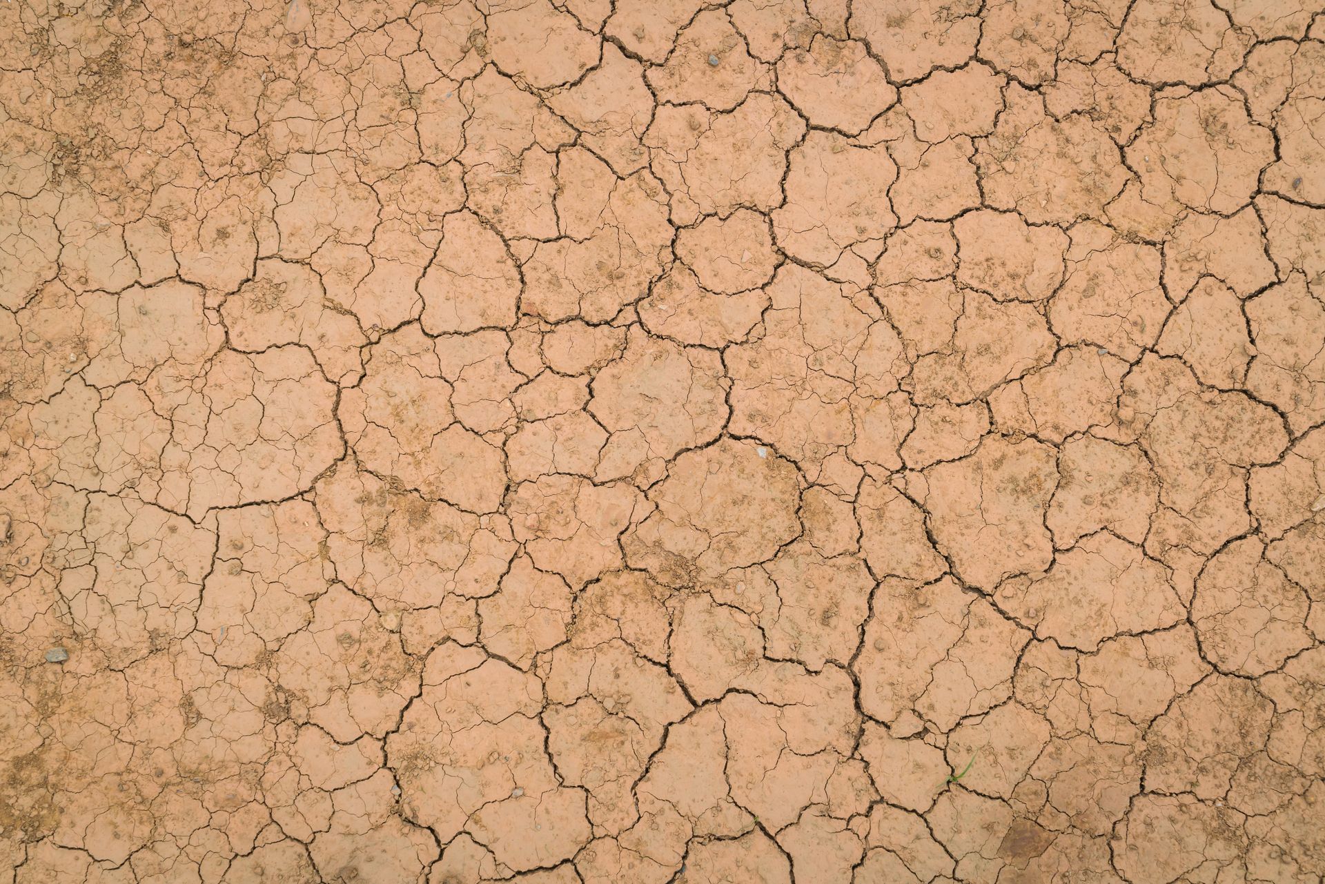 Tierra seca y agrietada en tonos tostados y marrones. El suelo muestra signos de sequía y deshidratación.