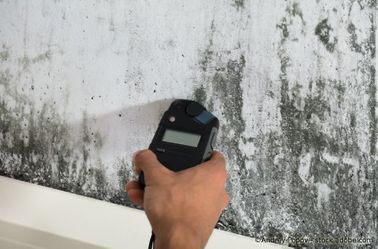 Person nimmt eine Messung an einer mit Schimmel befallenen Wand vor
