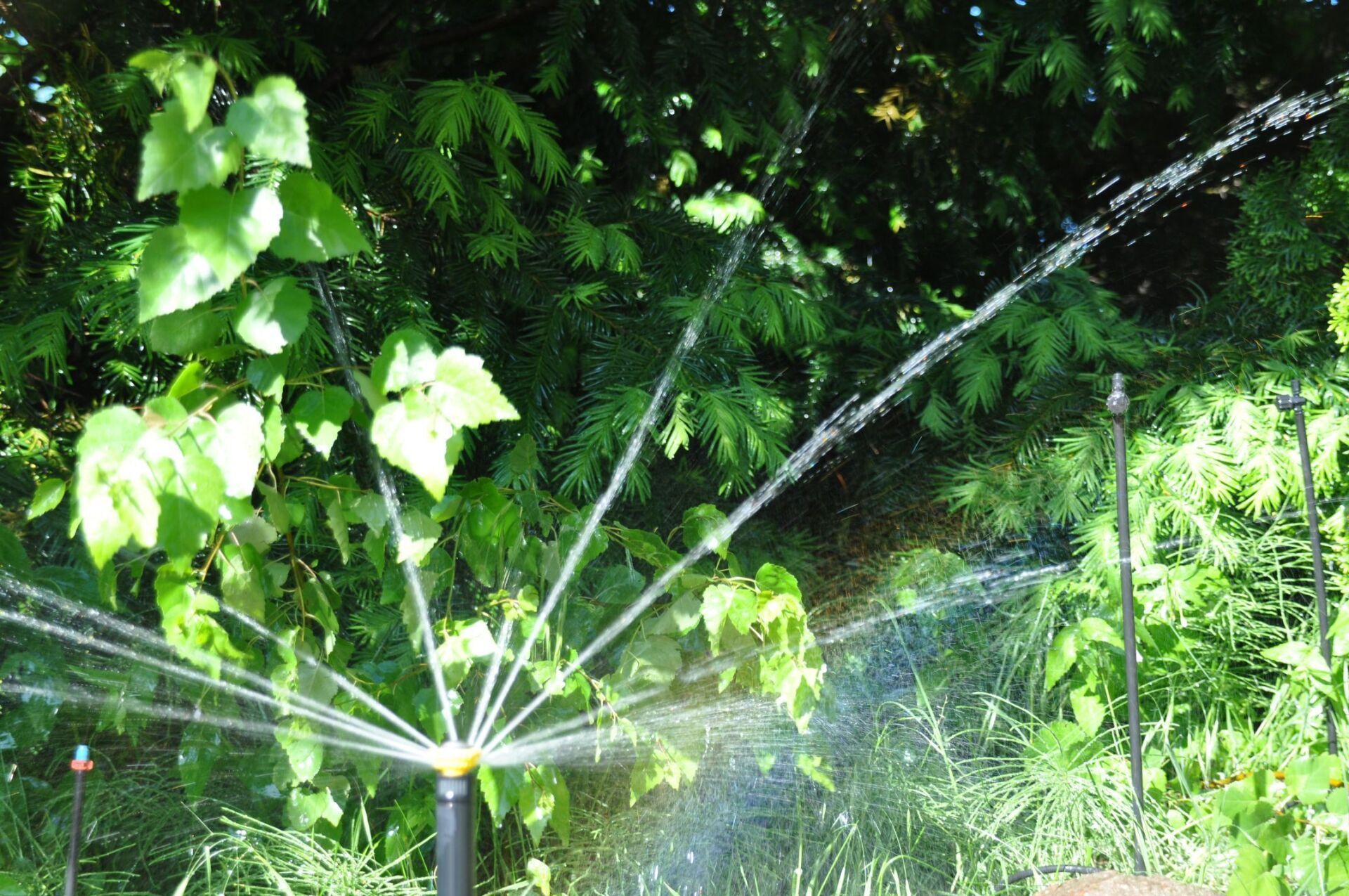 Bewässerungsanlage eines privaten Gartens