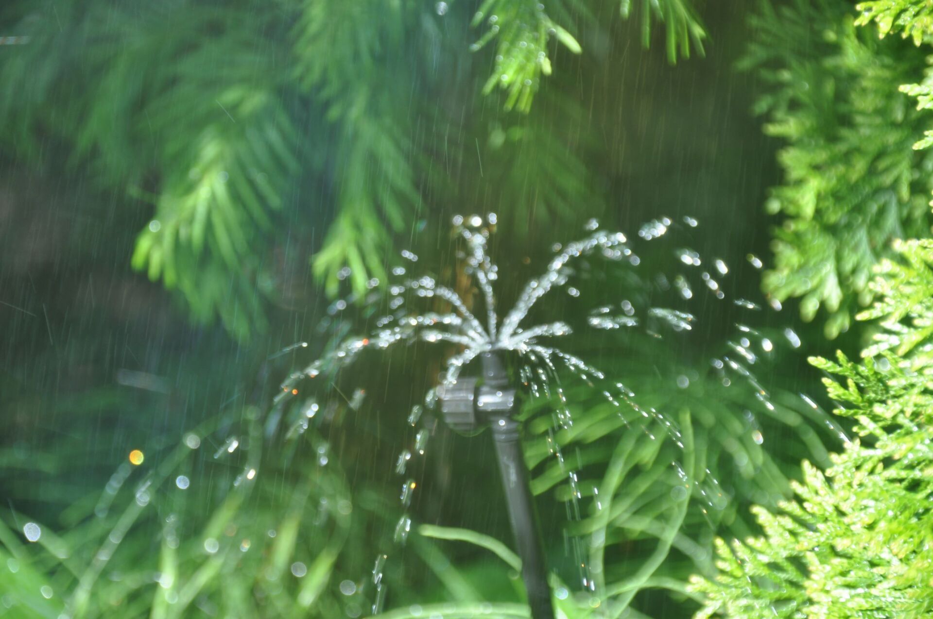 Bewässerungsanlage eines privaten Gartens