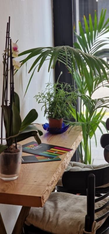 Una mesa de madera con plantas en macetas y una silla.
