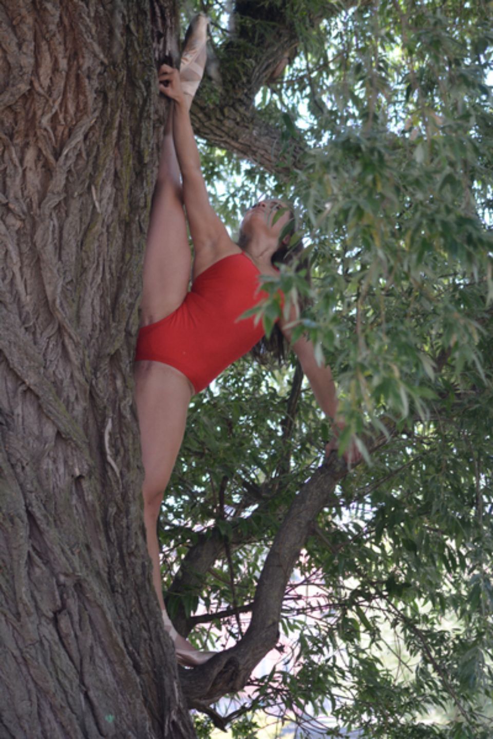 Balletttänzerin dehnt sich an einem Baum