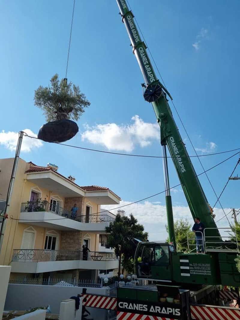 Cranes Arapis Τηλεσκοπικοί γερανοί