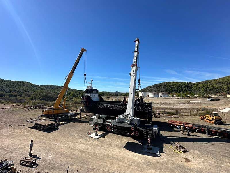 Cranes Arapis Τηλεσκοπικοί γερανοί