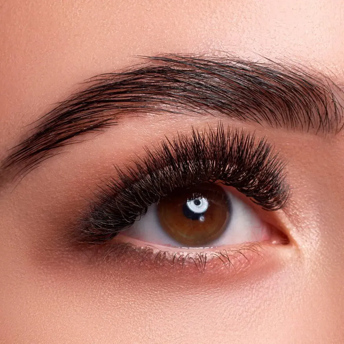 Primer plano de un ojo humano con pestañas postizas largas, oscuras y voluminosas, y cejas arqueadas y bien arregladas.