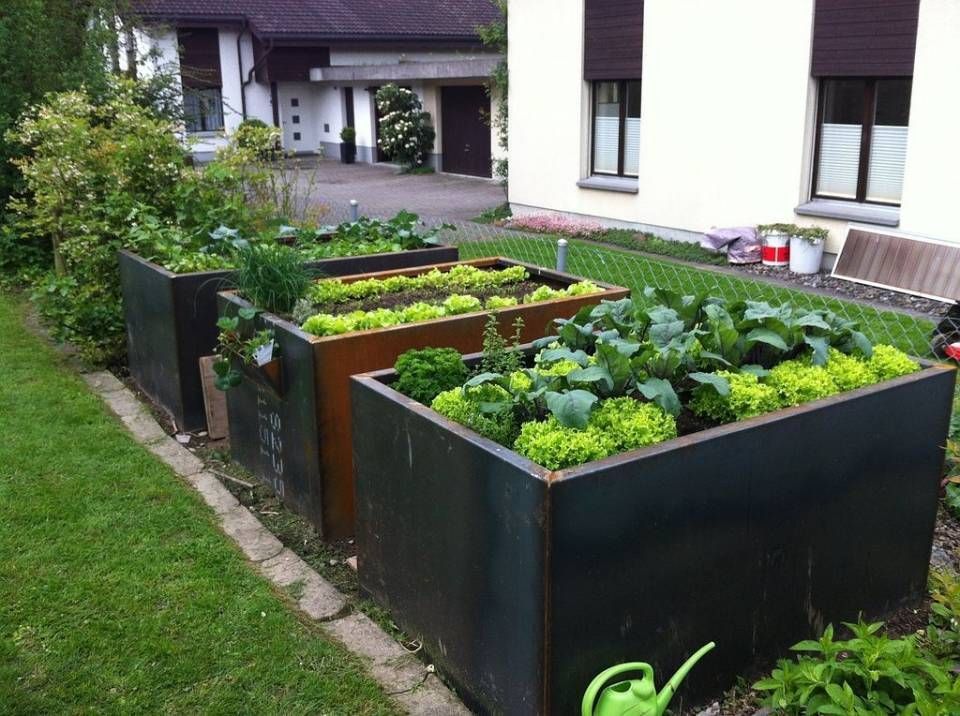 Ein Garten mit einer Gießkanne vor einem Haus