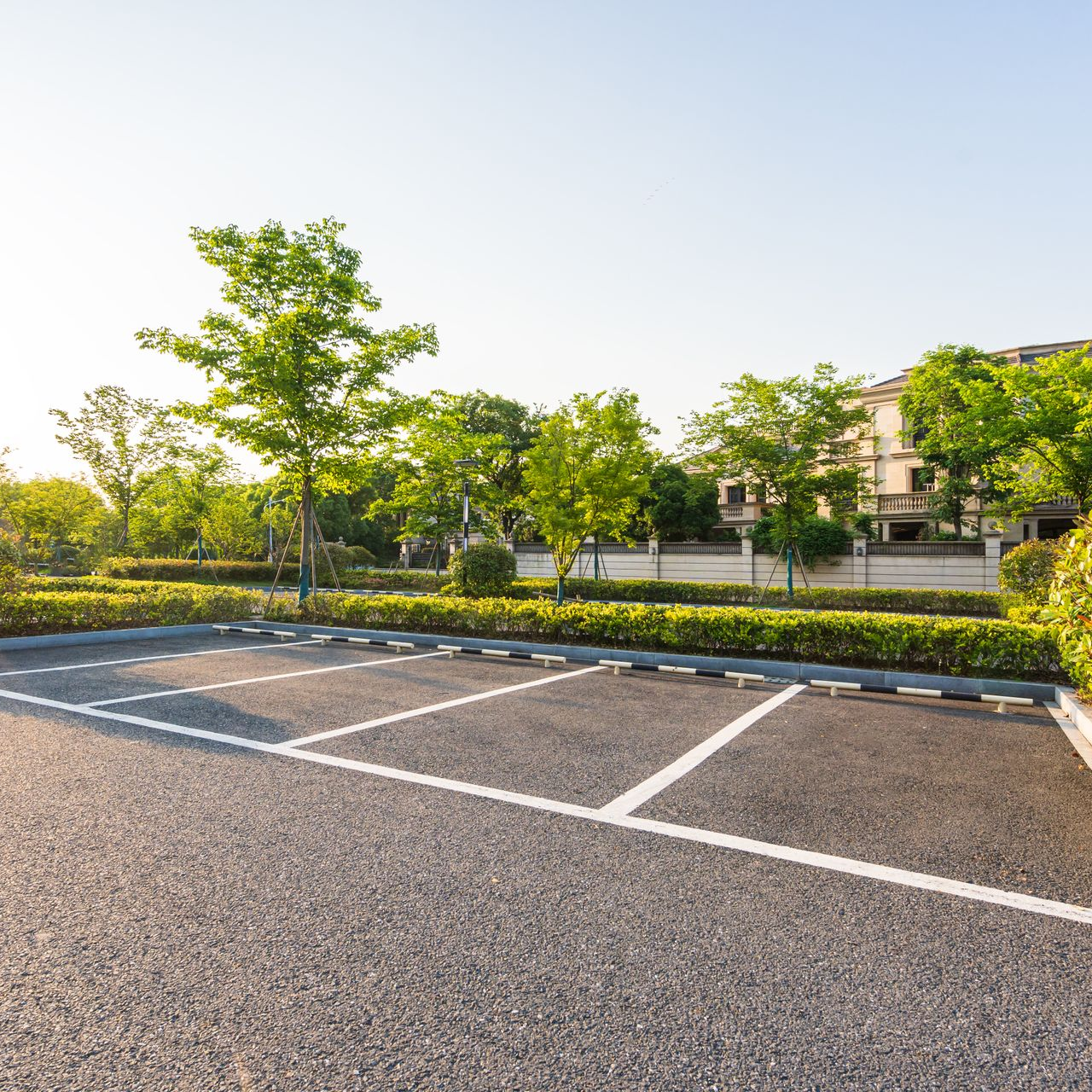 Places de parking vides avec des lignes blanches, entourées d'arbres et d'un bâtiment en arrière-plan.