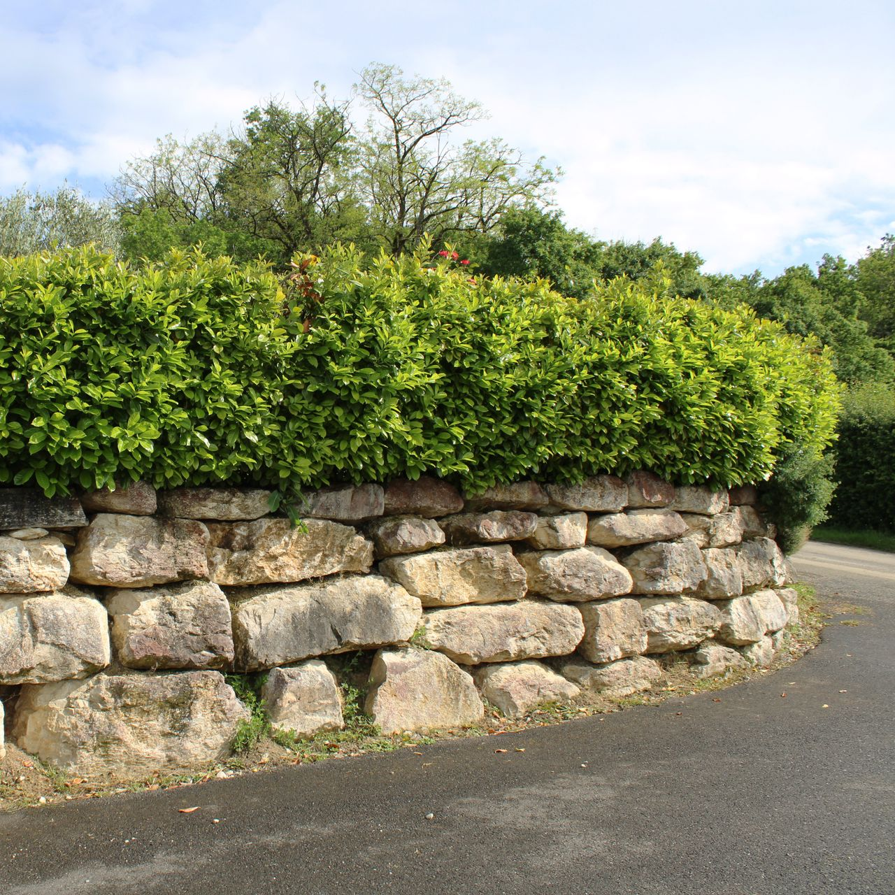 Mur de soutènement en pierre surmonté d'une haie, courbé à côté d'une route pavée.
