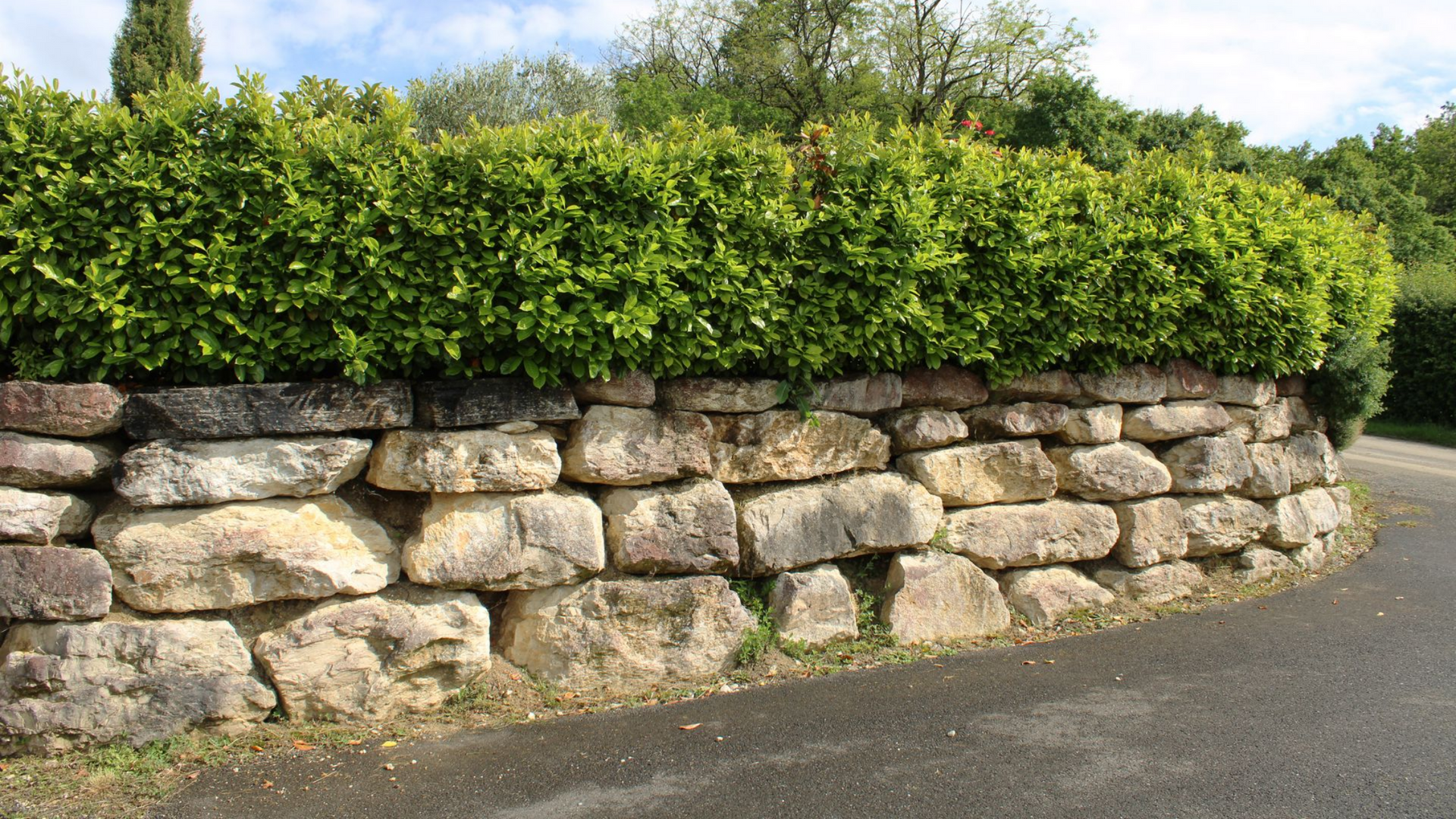 Mur de pierre surmonté d'une haie verte le long d'une route sinueuse sous un ciel bleu.