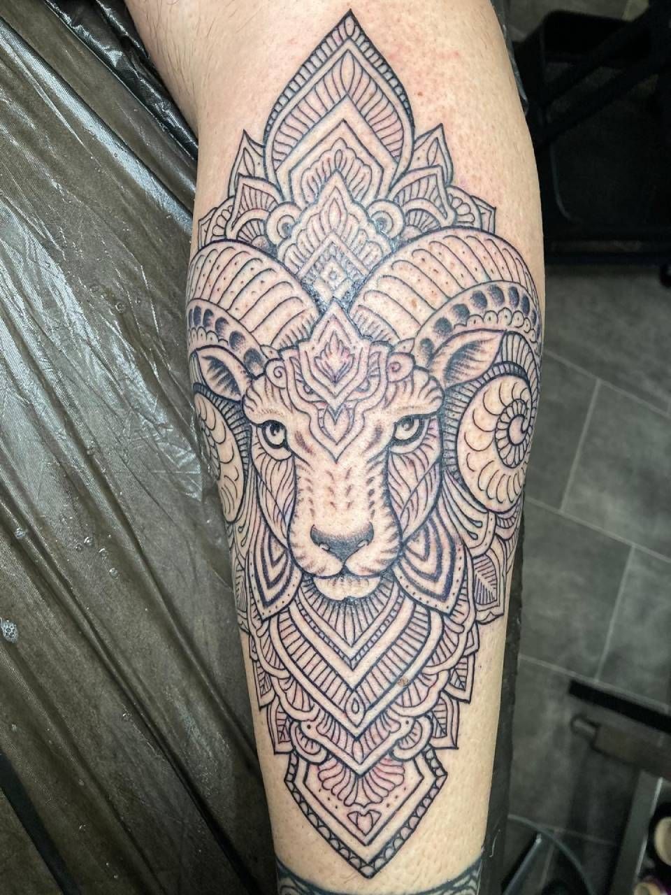 Ein detailliertes Tattoo mit schwarzer Tinte, das einen Widderkopf zeigt, umgeben von kunstvollen, geometrischen Mandala-Mustern, auf dem Unterarm einer Person.