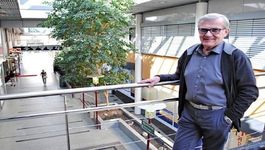 Sähköasennus Mehiläiselle