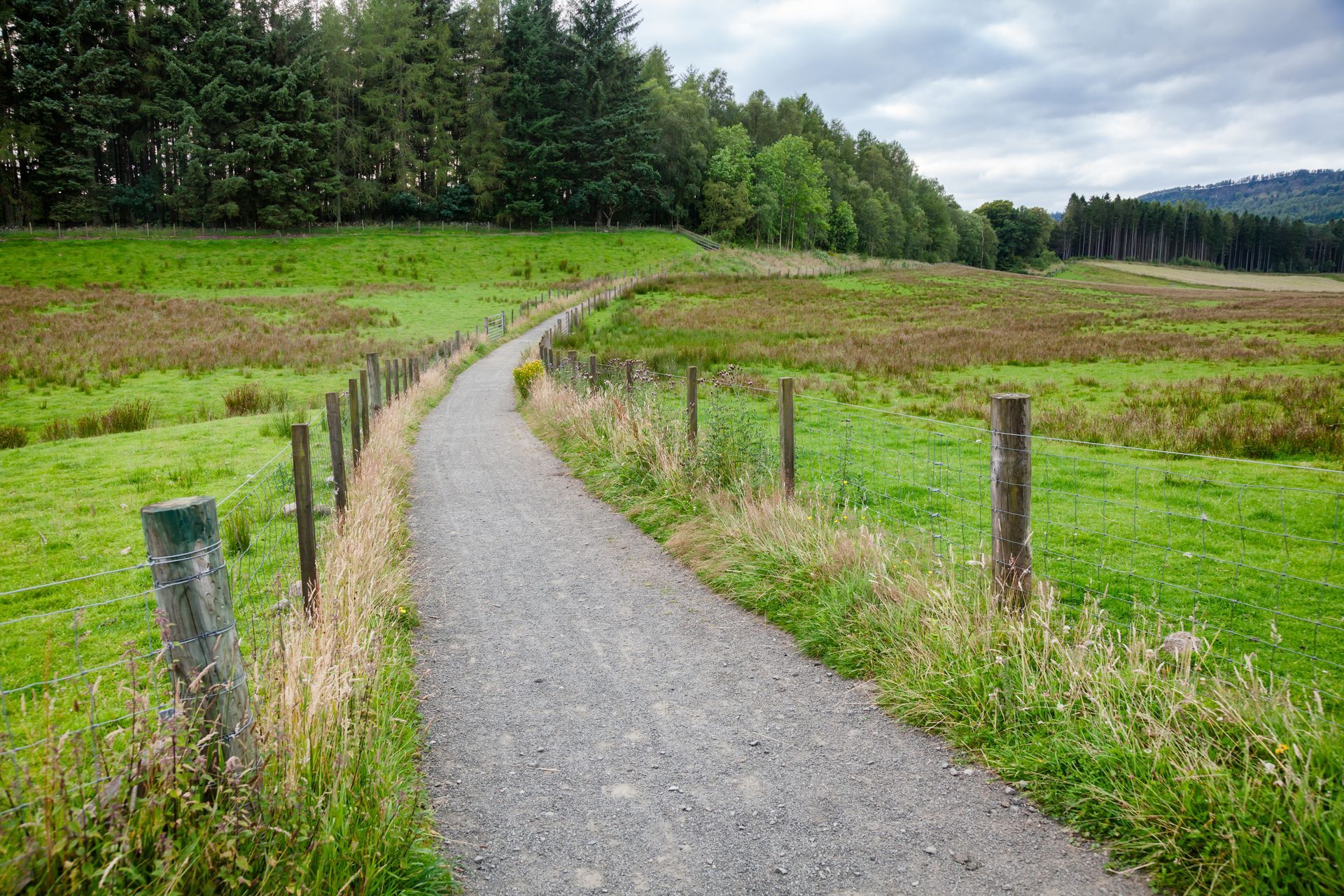 Un chemin de gravier serpente à travers une prairie verdoyante, bordée d'une clôture et menant à une forêt sous un ciel nuageux.