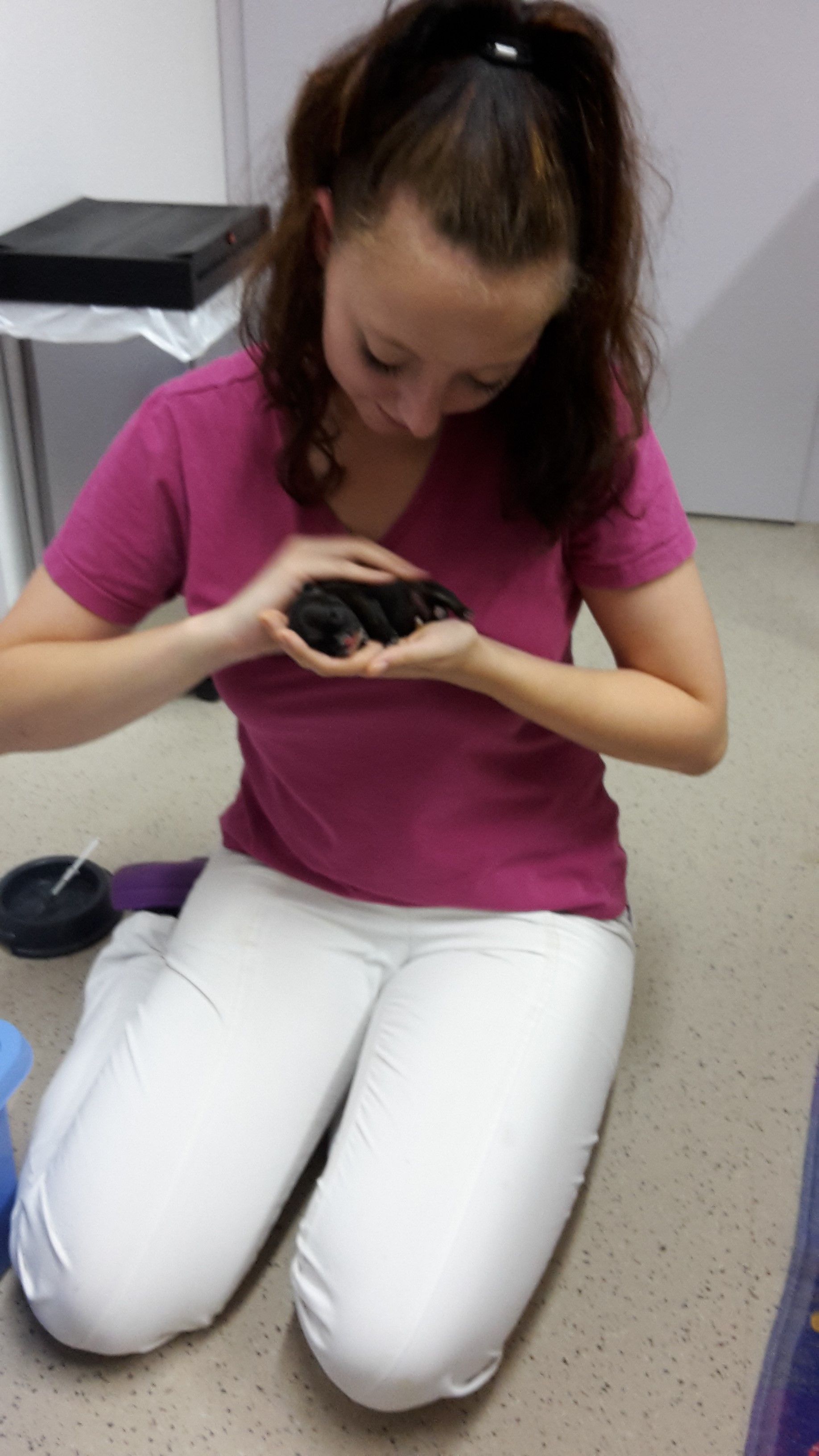 Versorgung eines neugeborenen Tieres