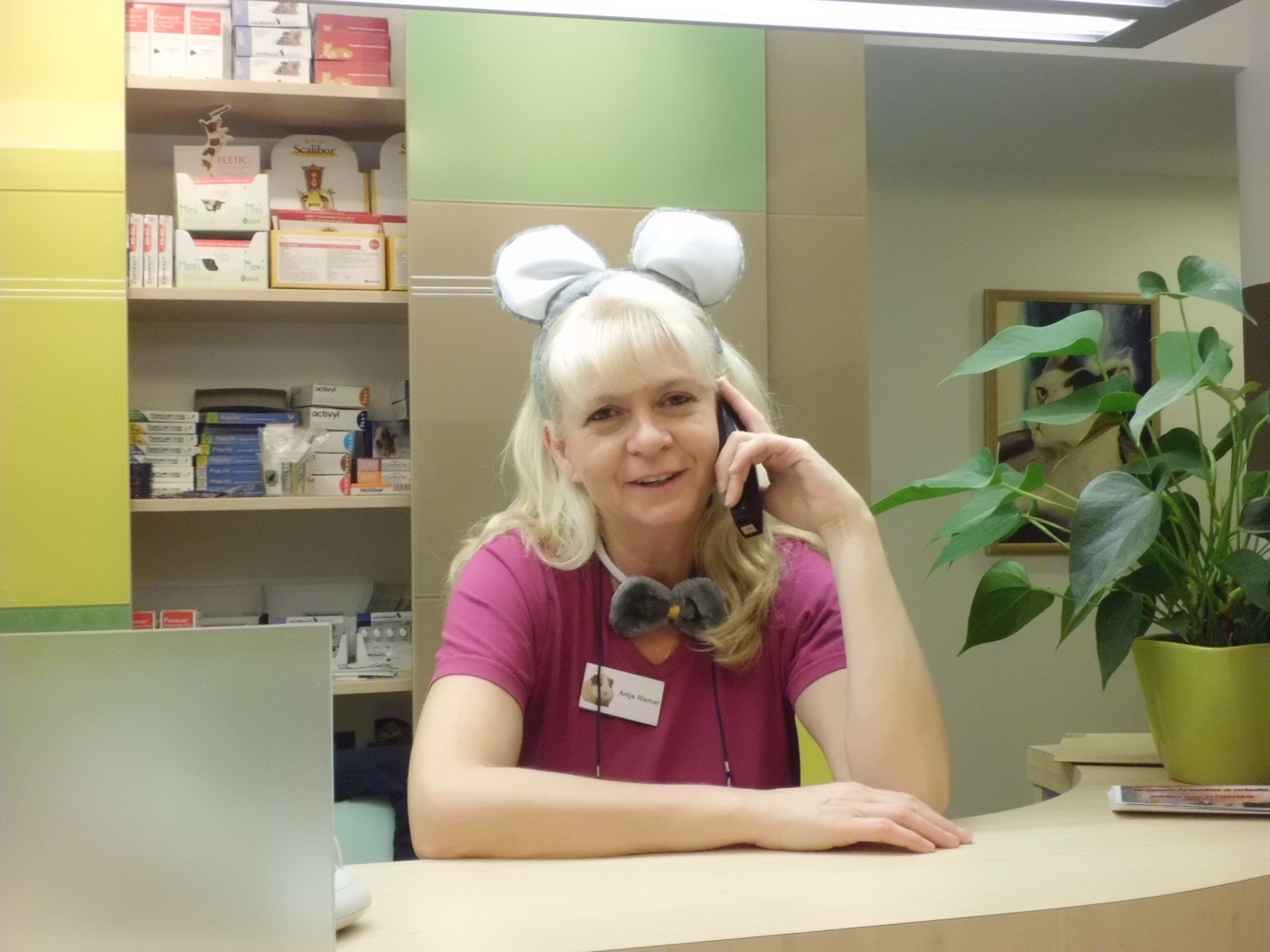 Empfang mit Verkleidung Tierarztpraxis