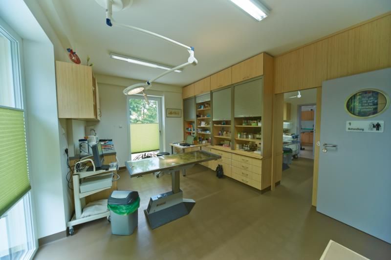 Kleintierpraxis Kornelia Jung, Oelsnitz - Behandlungsraum