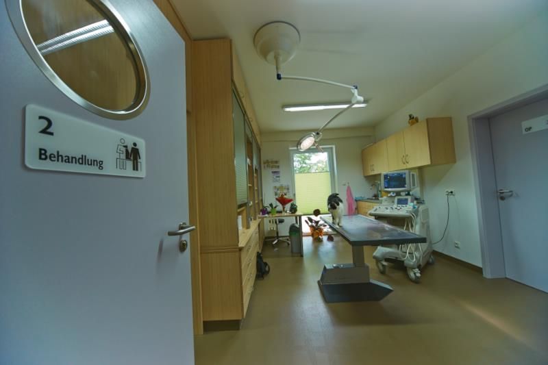 Kleintierpraxis Kornelia Jung, Oelsnitz - Behandlungsraum