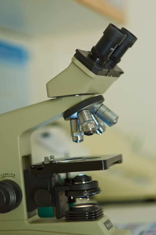 Kleintierpraxis Kornelia Jung, Oelsnitz - Labordiagnostik