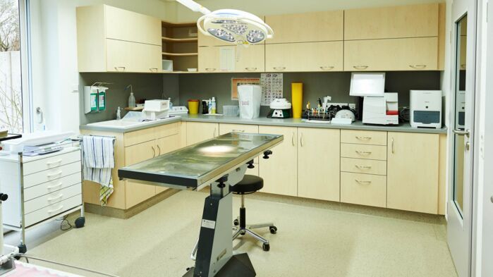 Kleintierpraxis Kornelia Jung, Oelsnitz - Behandlungsraum