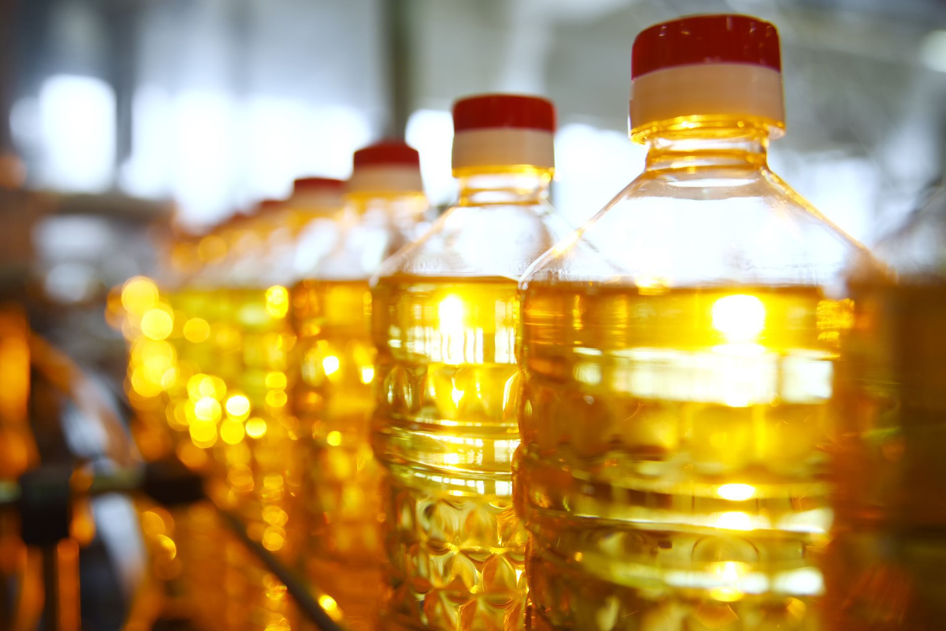 Une rangée de bouteilles d'huile