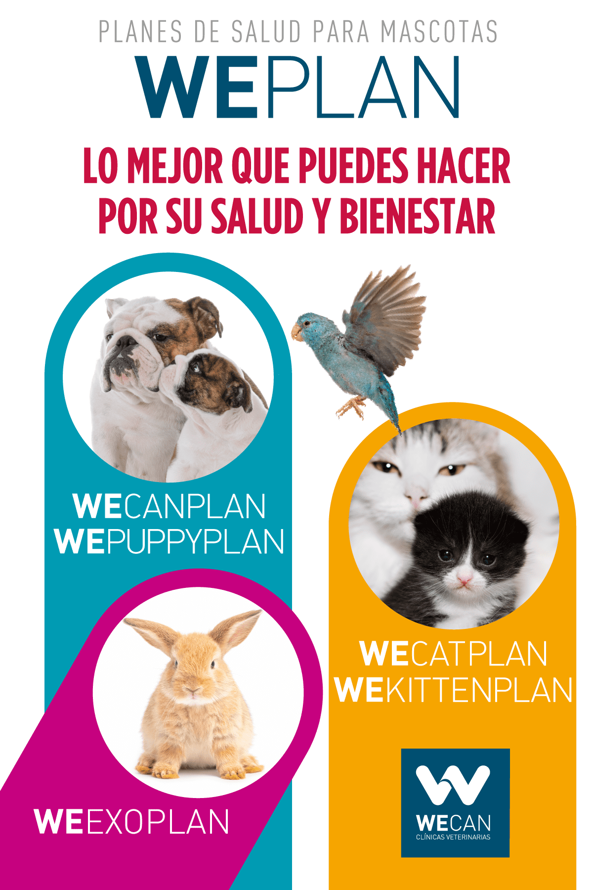Colorful pet wellness ad with cats, a bird and a rabbit, titled “WEPLAN” and “Lo mejor que puedes hacer por su salud y bienestar.”