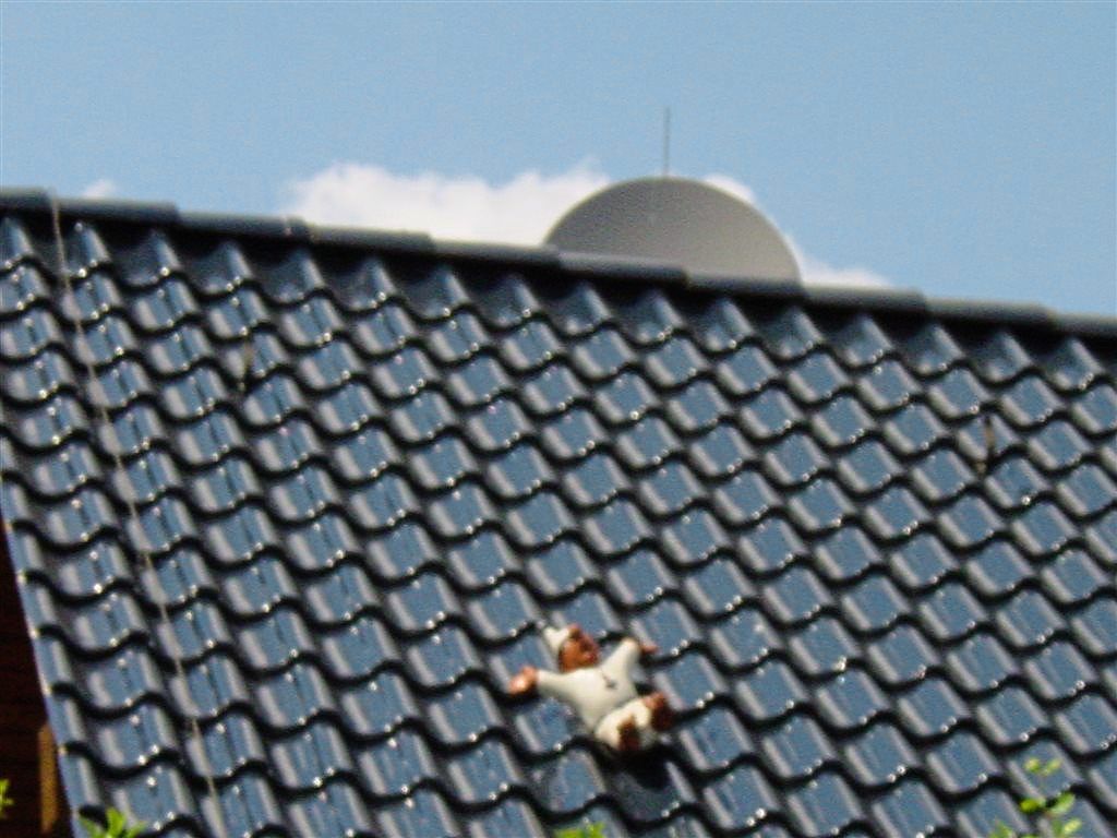 Fachwerkhaus Philipp-Reisstraße 4a Dachziegel