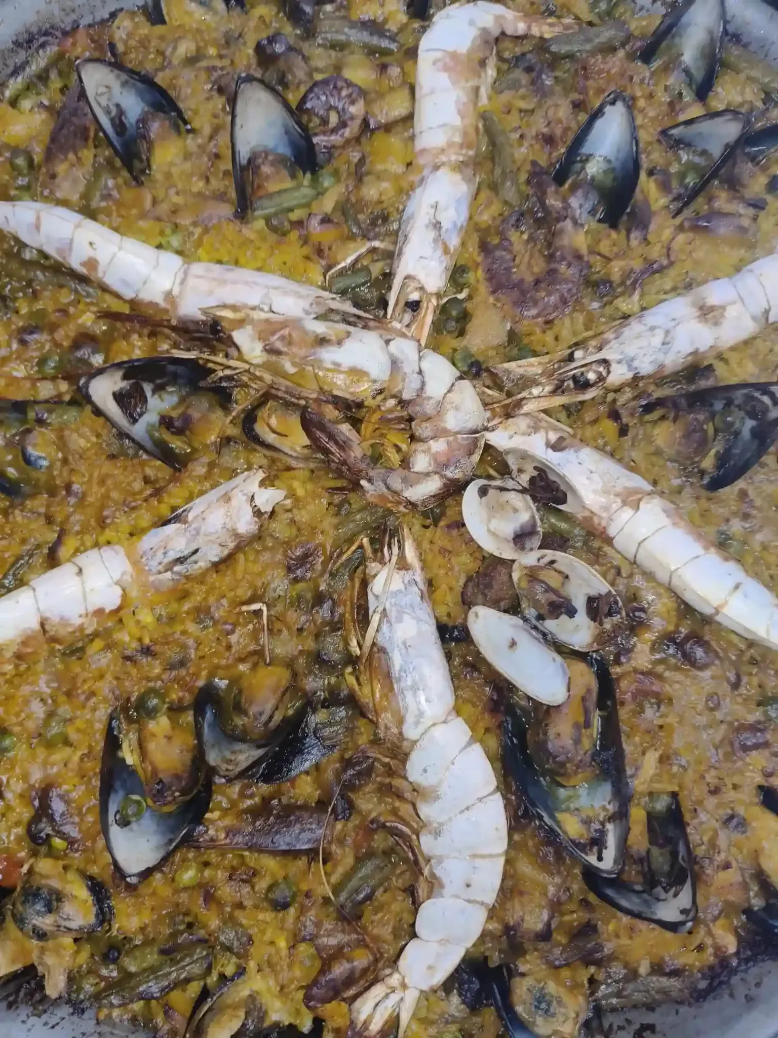 Paella con camarones grandes dispuestos alrededor de mejillones en una sartén circular.