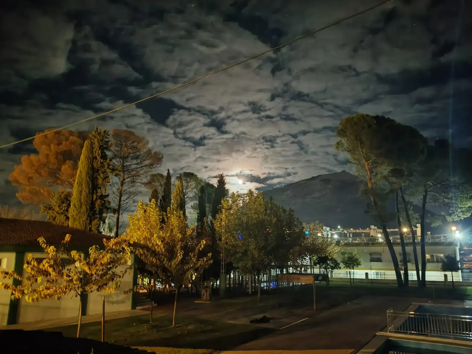 Escena nocturna de parque con árboles, edificios y cielo nublado iluminado por la luz de la luna.
