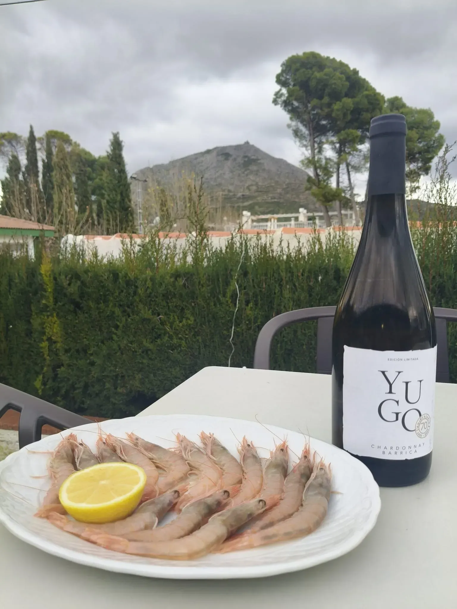 Plato de camarones crudos con limón y botella de vino sobre una mesa, fondo de montaña.