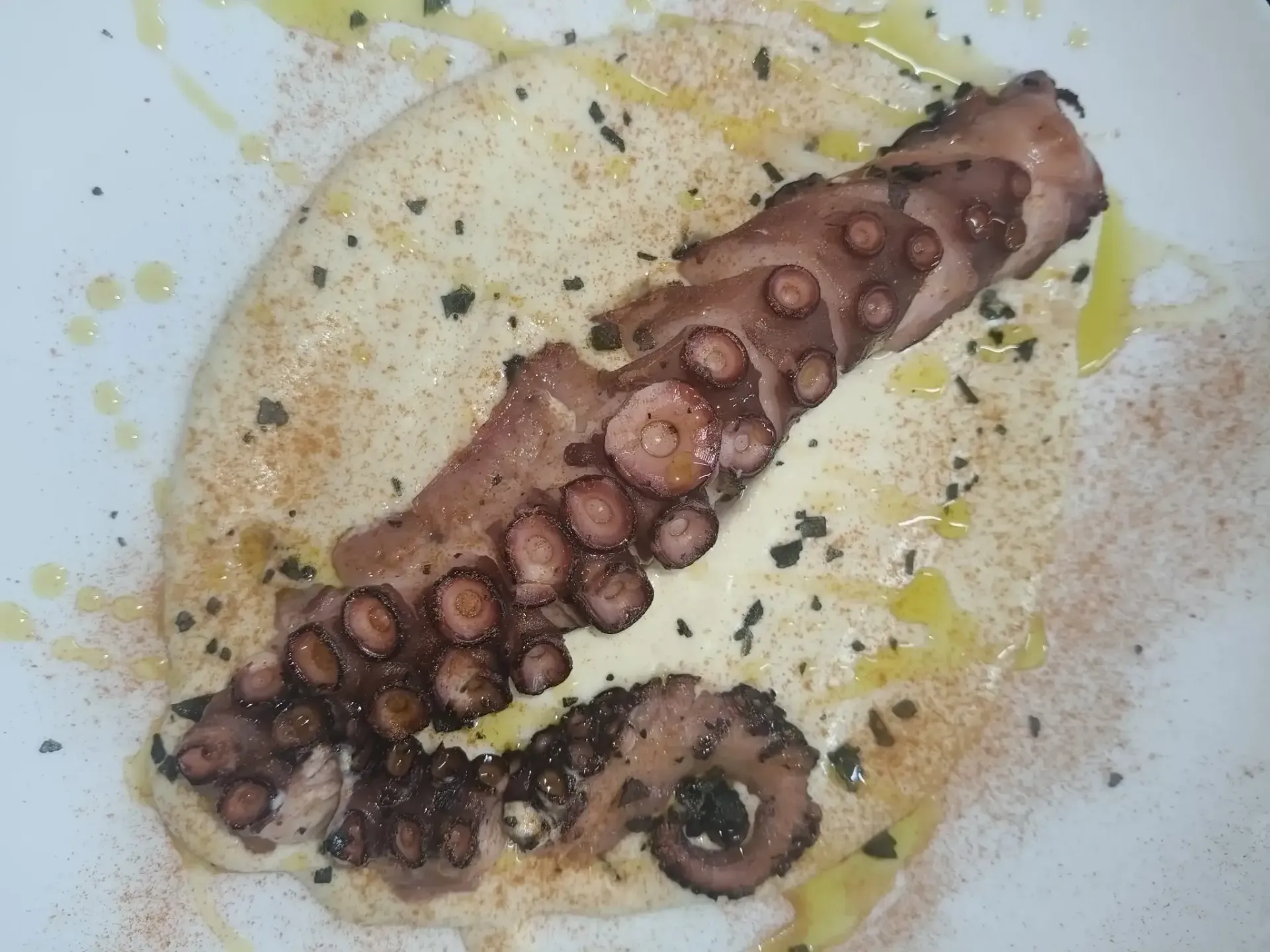 Tentáculo de pulpo a la parrilla sobre un puré blanco cremoso, adornado con hierbas y aceite.