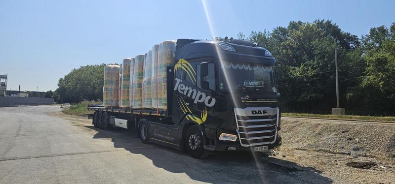 Camion poids lourd avec plateau avec des palettes sanglées vu de face