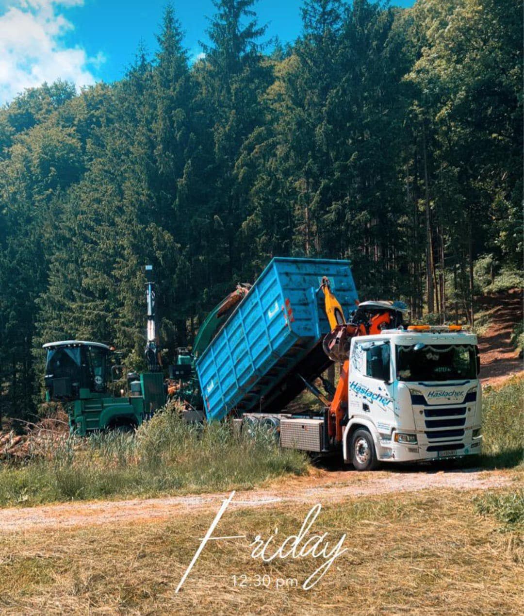 Ein LKW kippt an einem sonnigen Tag auf einer Waldlichtung Holzspäne in einen blauen Container.