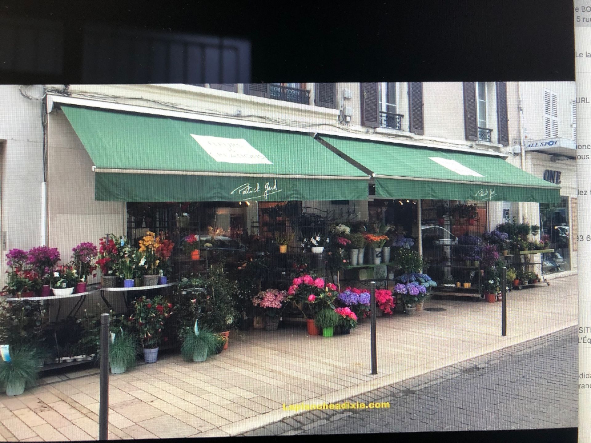 Deux stores verts de fleuriste.