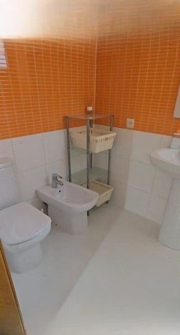 Baño pequeño con paredes alicatadas