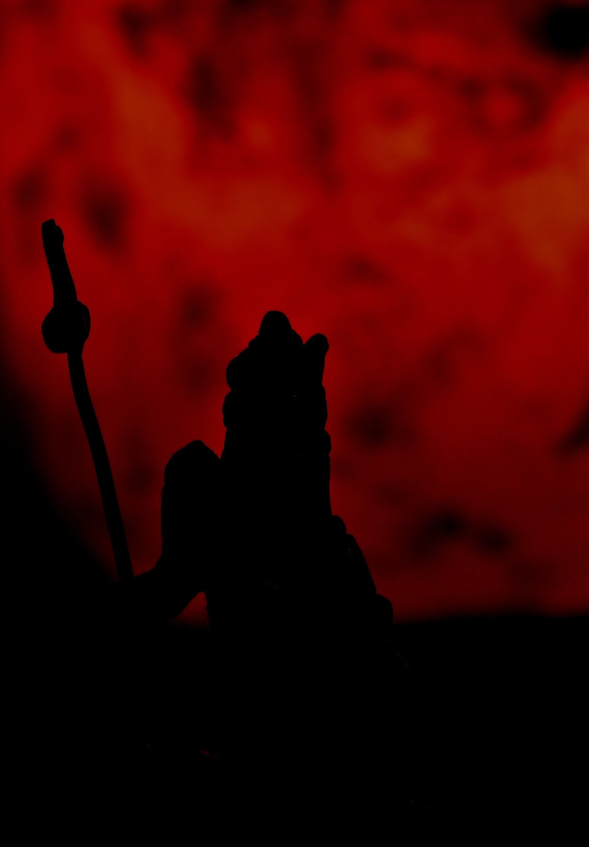 Invitation au voyage