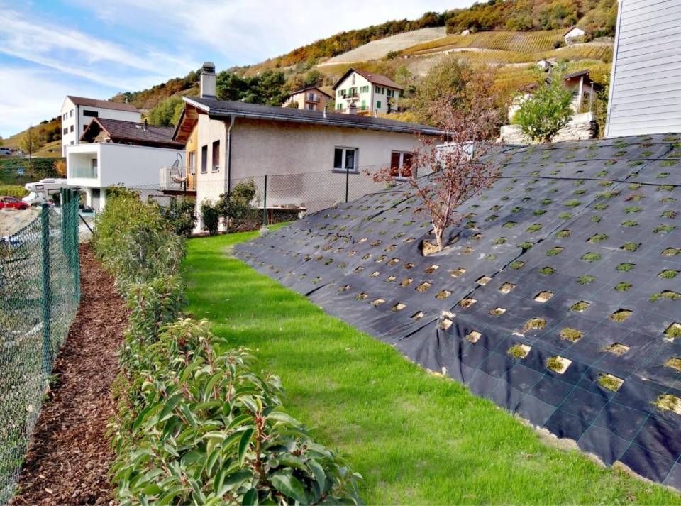 Colline escarpée avec pelouse verte, grillage anti-érosion noir et maisons sur une pente résidentielle