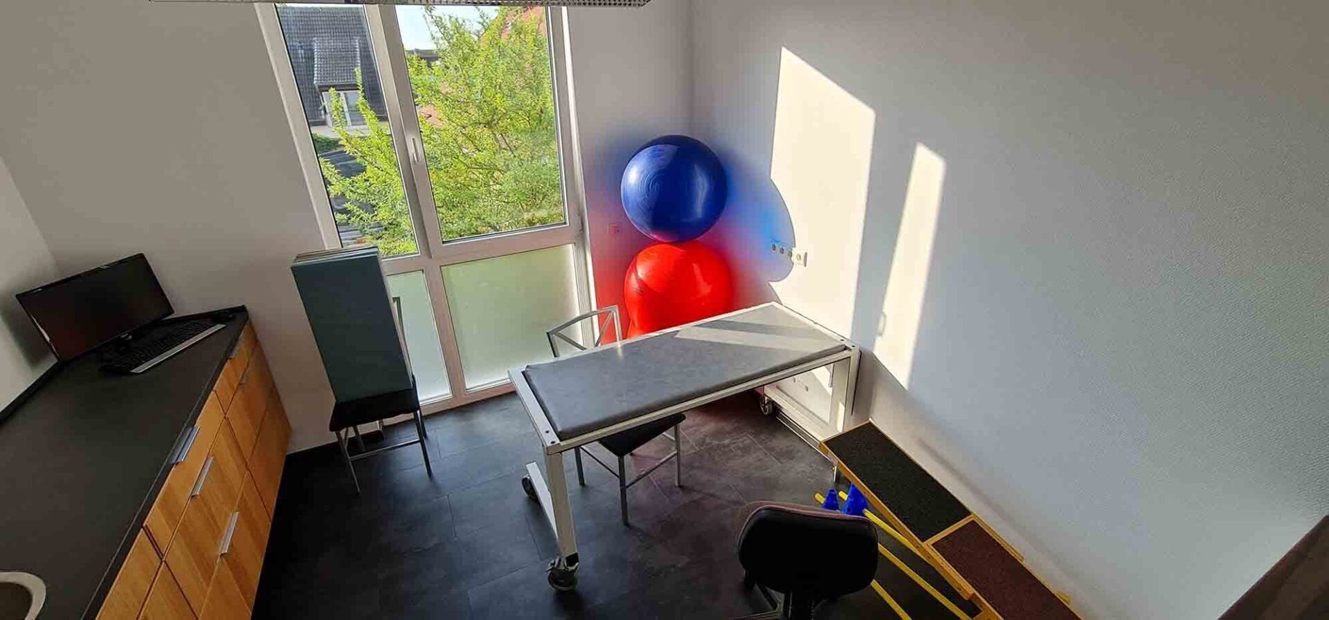 Ein Raum mit einem Tisch, Stühlen, Gymnastikbällen und einem Hund.