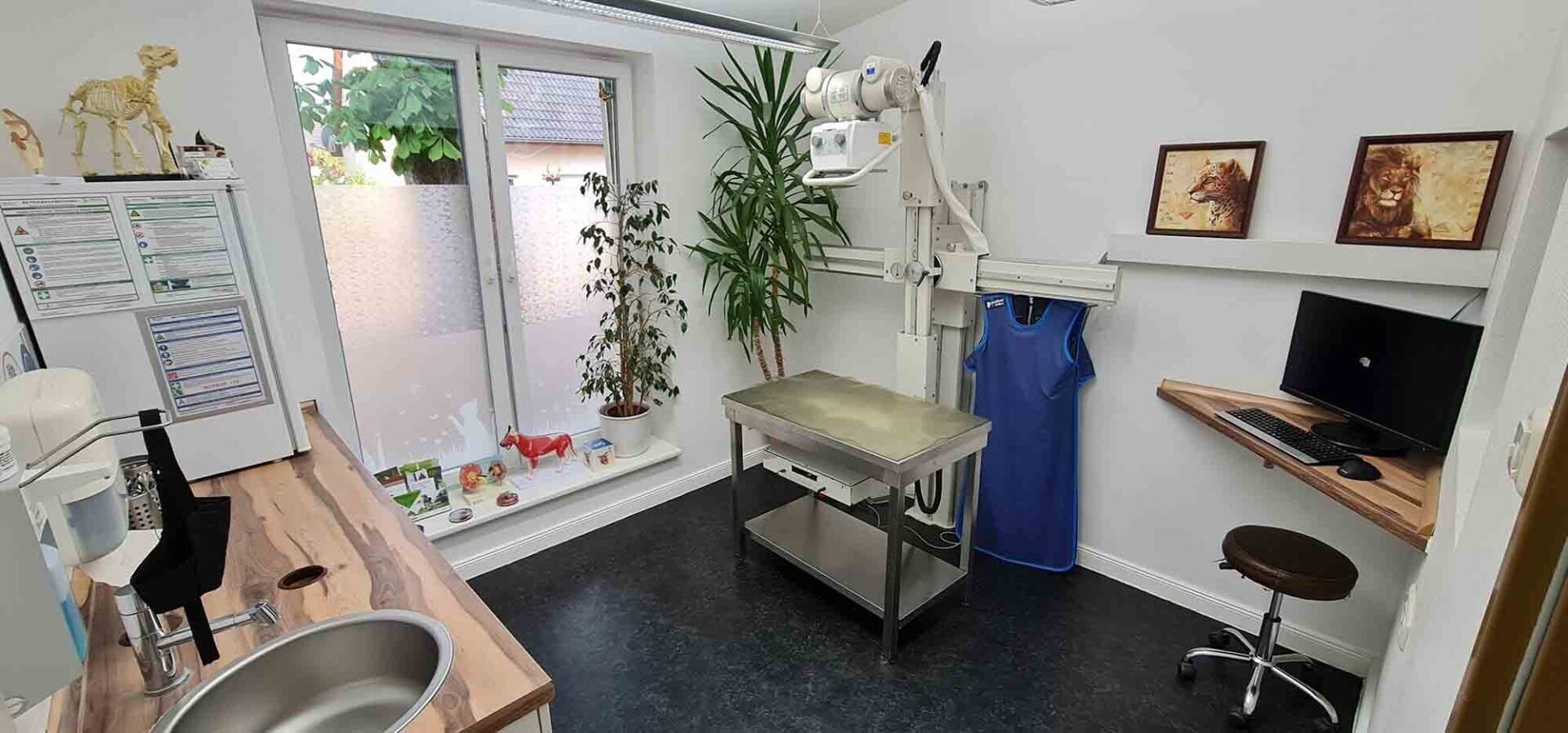 Ein tierärztlicher Untersuchungsraum mit Tisch, Waschbecken, Computer und Röntgengerät.