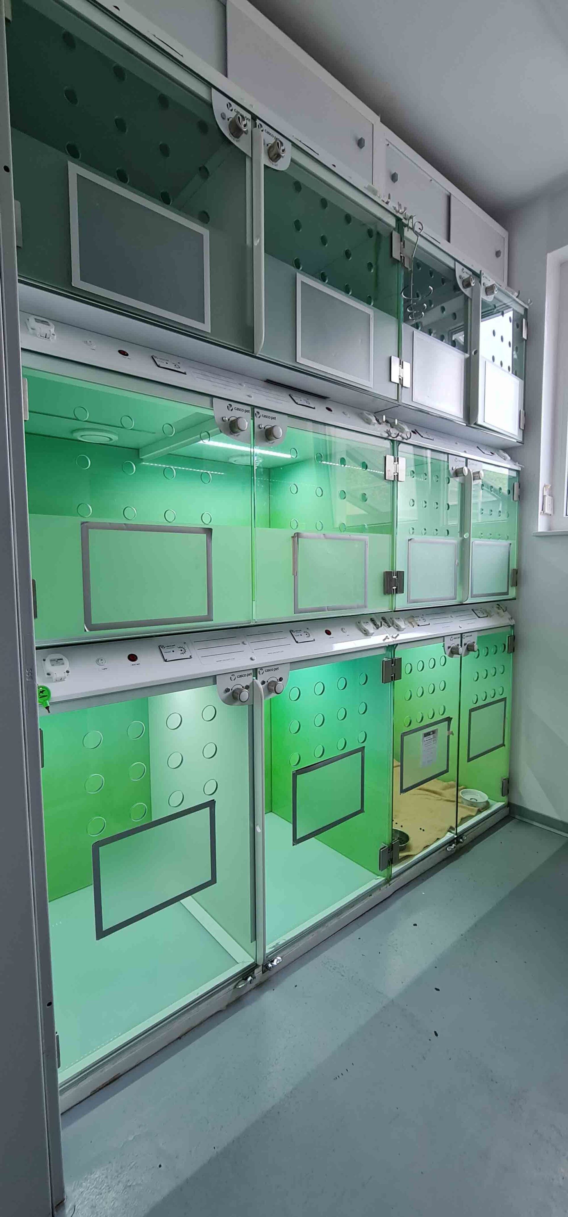 Ein Raum voller grüner und weißer Kisten.
