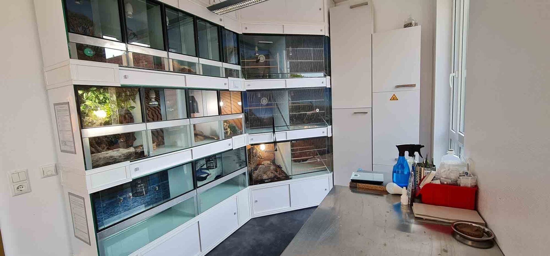 Ein Raum voller Fischbecken und Aquarien.