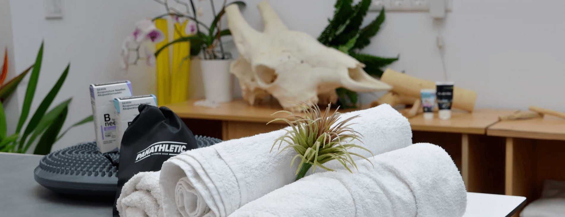 Tierarztpraxis Dr. Niels Mensing