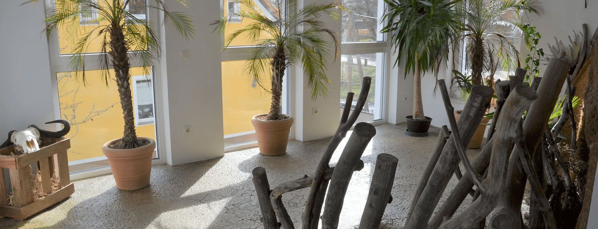 Tierarztpraxis Dr. Niels Mensing