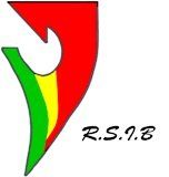 Logo Résine Sol Industriel Barros