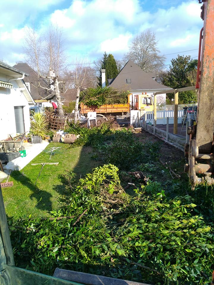 élagage et abattage d'arbres