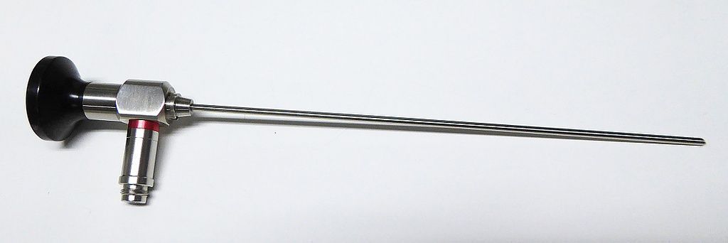 Endoskop