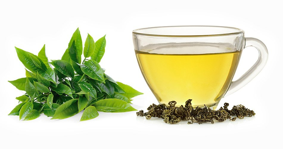Tasse de thé vert accompagné de feuilles de thé fraiches déposées à côté