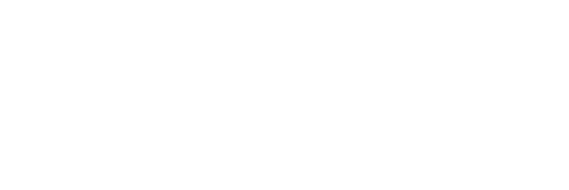 Logo CHG Premium