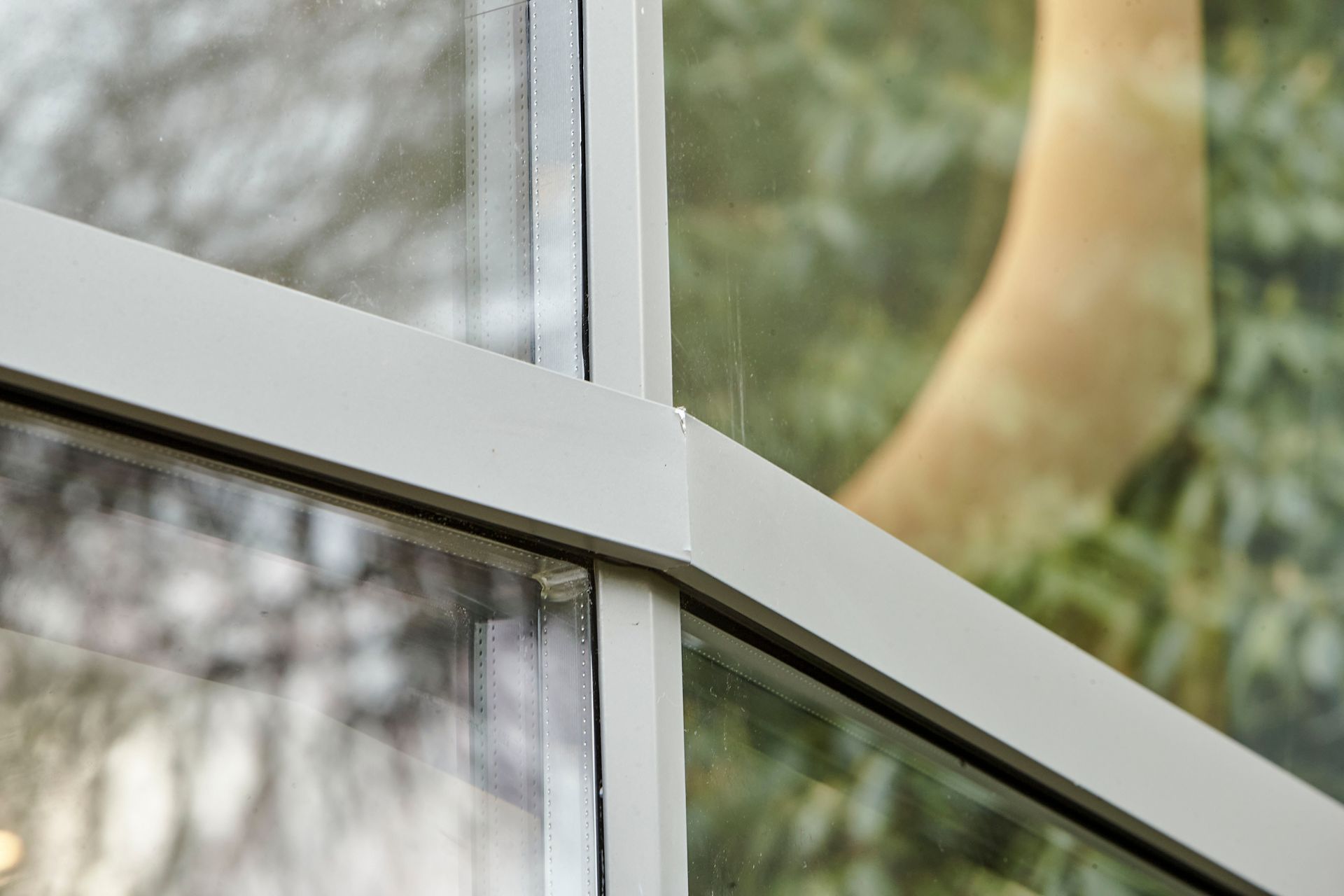 Eine Nahaufnahme eines Fensters mit einem Baum im Hintergrund.