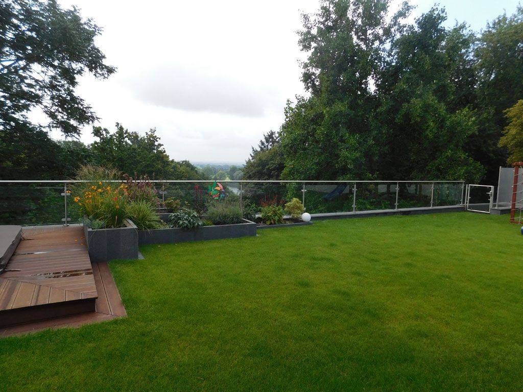 Ein üppiger grüner Rasen mit Bäumen im Hintergrund