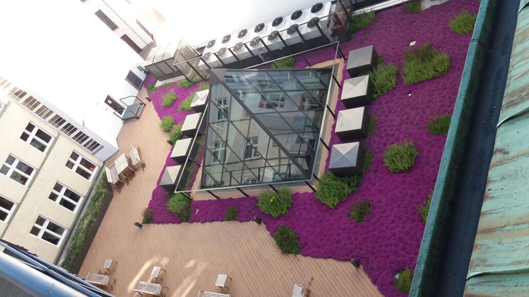 Eine Luftaufnahme eines Gebäudes mit einem violetten Garten davor